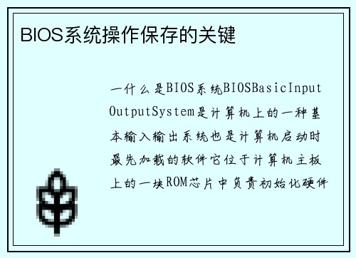 BIOS系统操作保存的关键